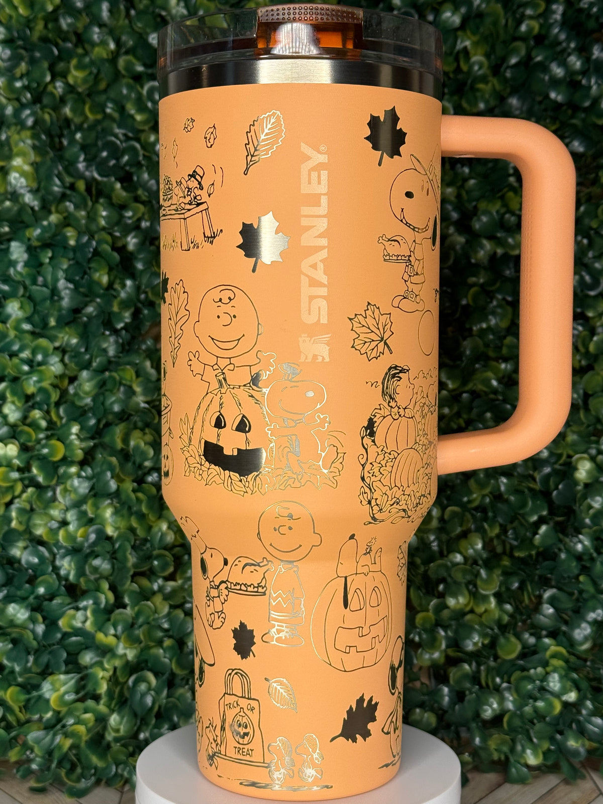 Pumpkin Pie & Peanuts Vibes Engraved Tumbler