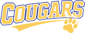 Your design overlay